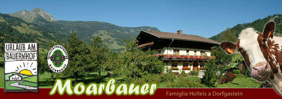 Urlaub am Bauernhof in Dorfgastein